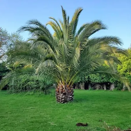 Grande Maison De Famille - Le Petit Pontebart